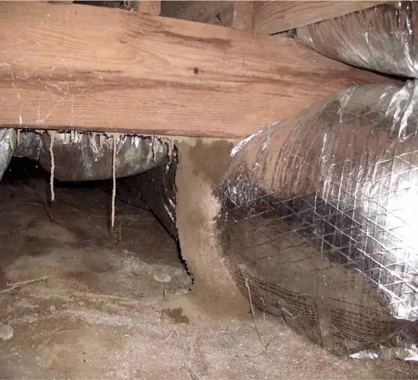 Termite Inspection North Carolina