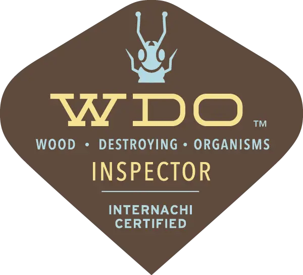 Wood destroying insect report - Termite Report